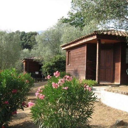 Gites Chalets De Grosseto-Prugna Kültér fotó