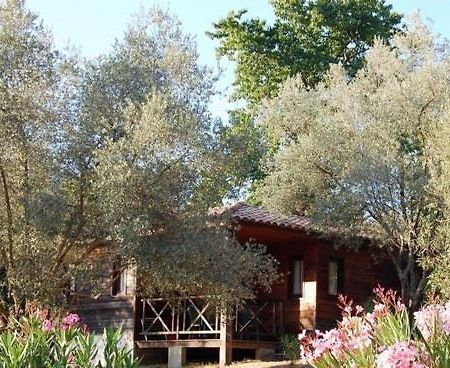Gites Chalets De Grosseto-Prugna Kültér fotó