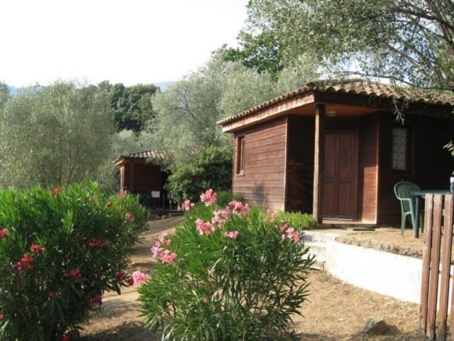 Gites Chalets De Grosseto-Prugna Kültér fotó