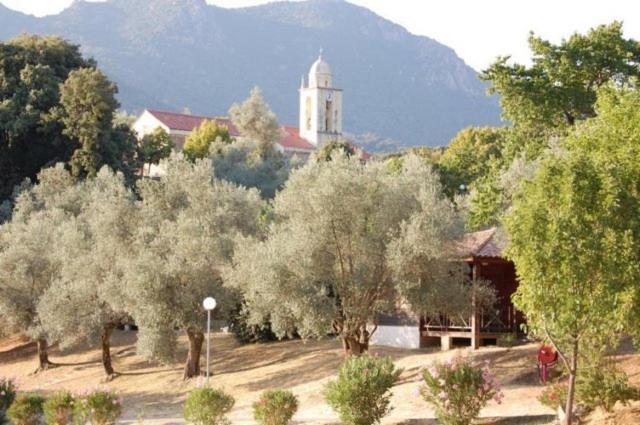Gites Chalets De Grosseto-Prugna Kültér fotó
