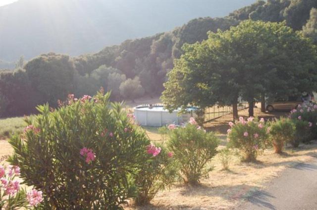 Gites Chalets De Grosseto-Prugna Kültér fotó