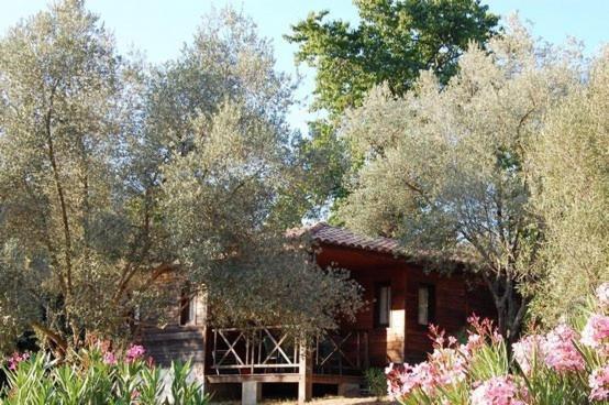 Gites Chalets De Grosseto-Prugna Kültér fotó