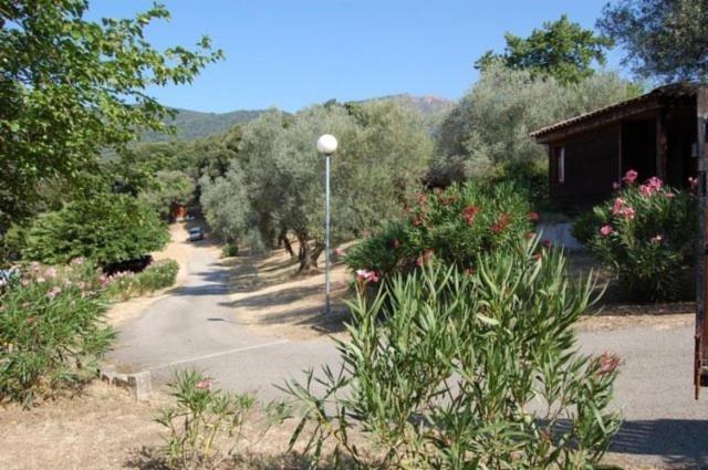 Gites Chalets De Grosseto-Prugna Kültér fotó